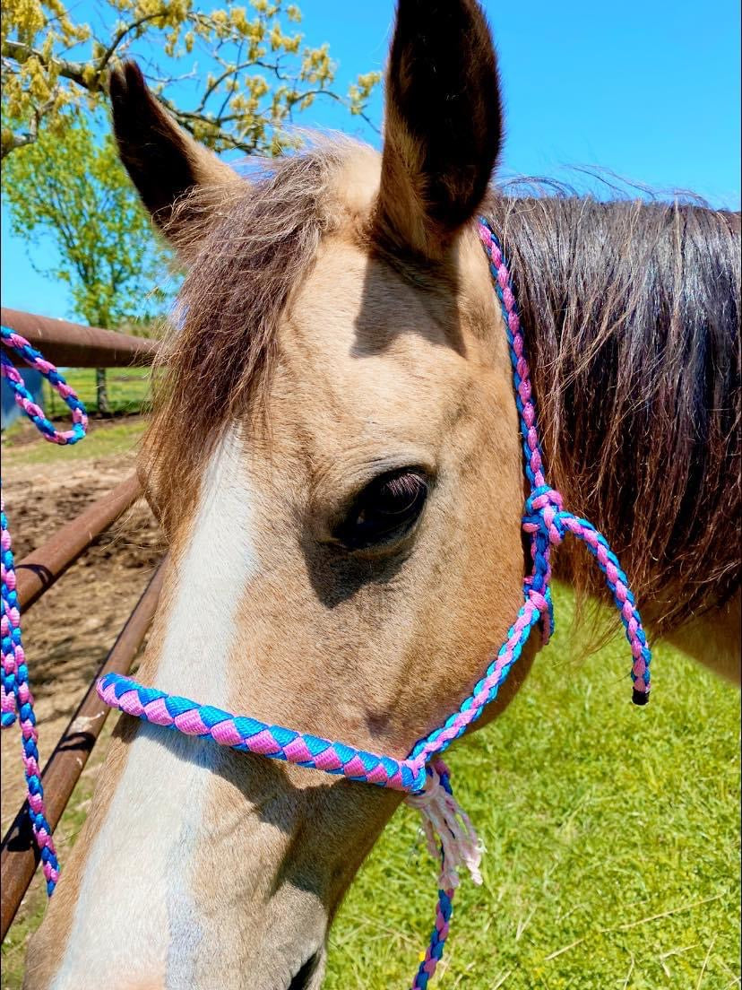 Muletape Halter: Custom Cowboy