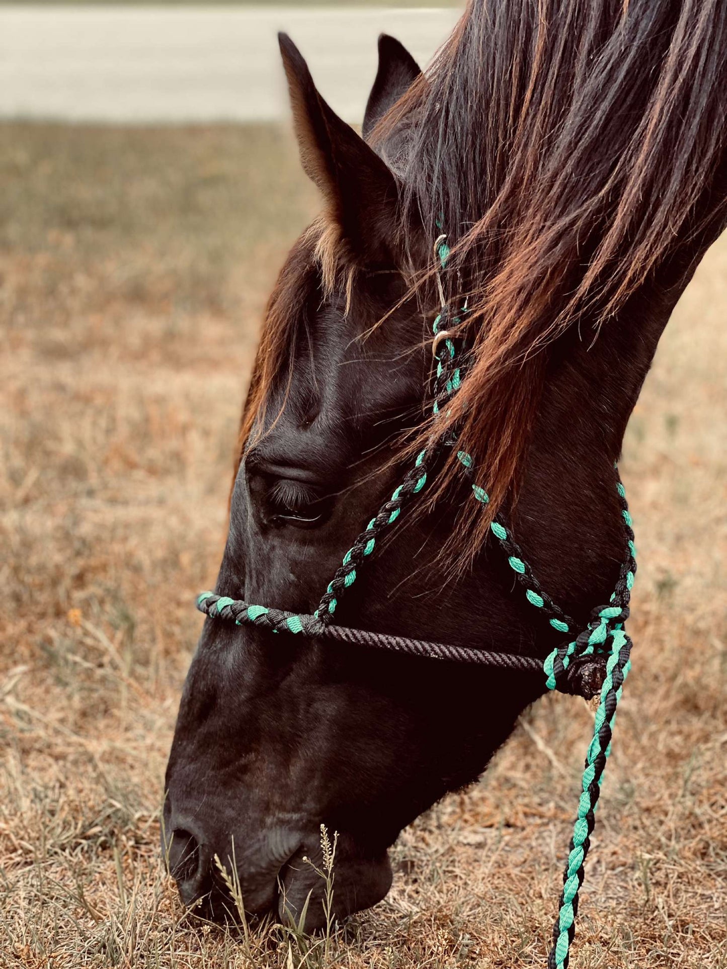 Muletape Halter: Quick Clip