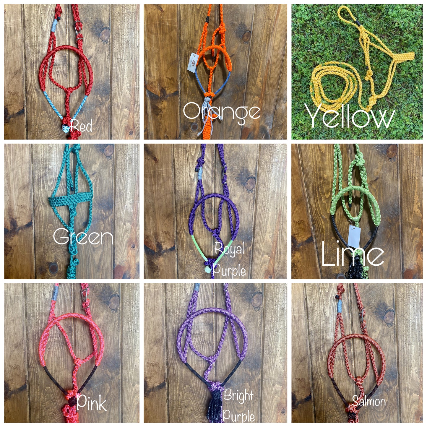 Muletape Halter: Pony